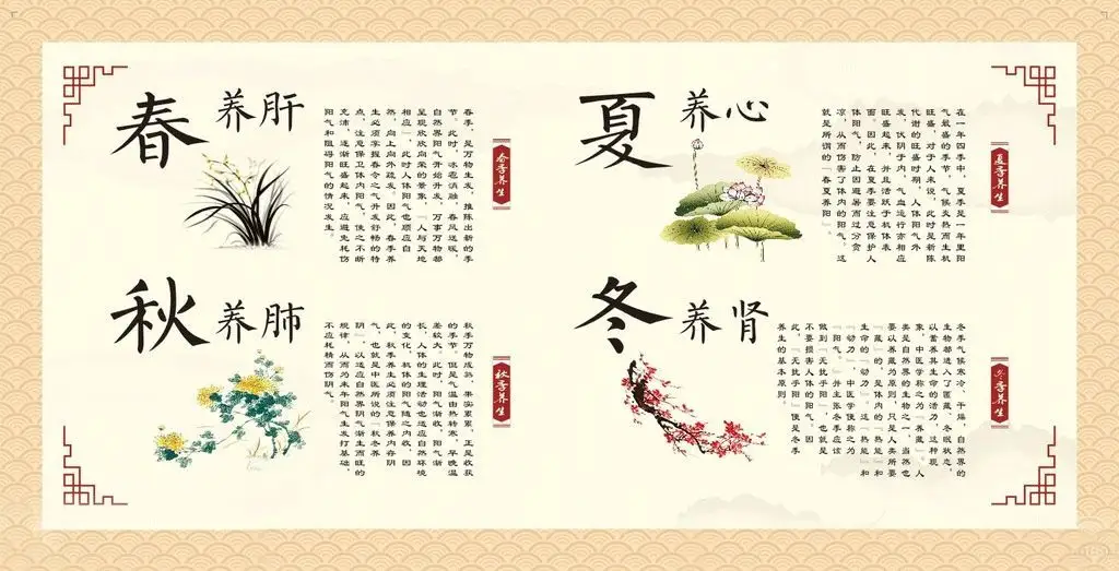 植物-黄芪常喝——百病消+这1味，功效翻倍